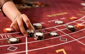 WH aams casino